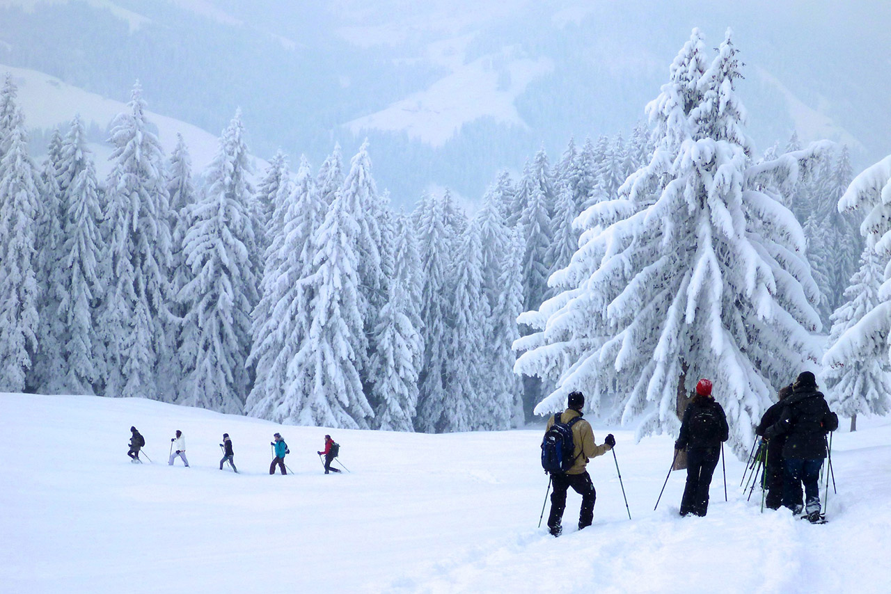 Mehrsicht Teameventplus Impressionen Schnee
