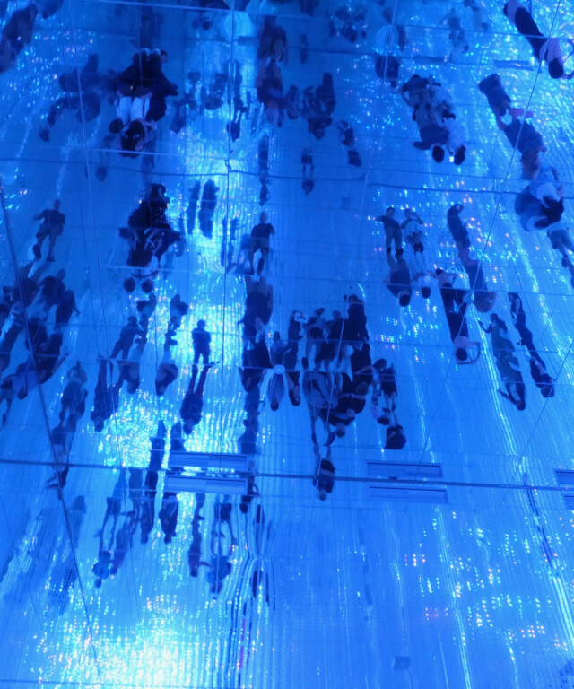 Mehrsicht Wirkungsthema Digitale Transformation