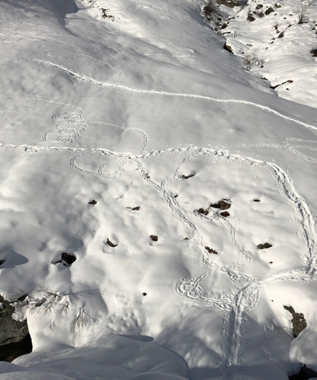 Mehrsicht Wirkungsthema Konfliktmanagement Mediation